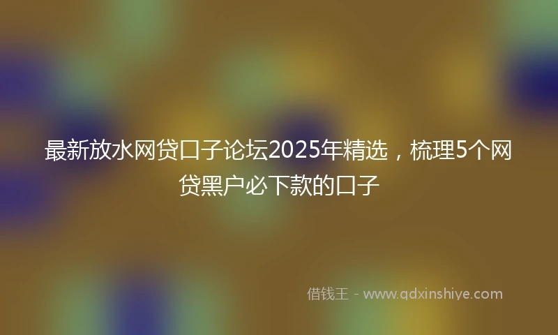 最新放水网贷口子论坛2025年精选，梳理5个网贷黑户必下款的口子