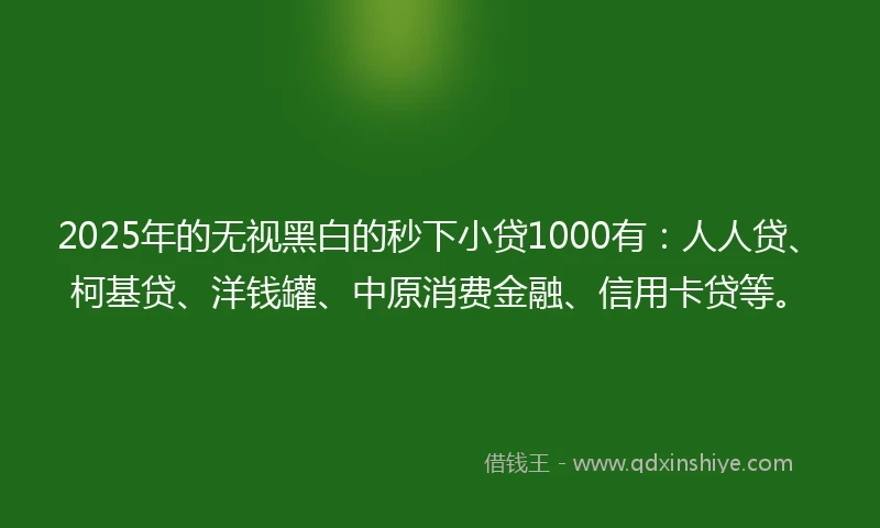 2025年的无视黑白的秒下小贷1000有：人人贷、柯基贷、洋钱罐、中原消费金融、信用卡贷等。