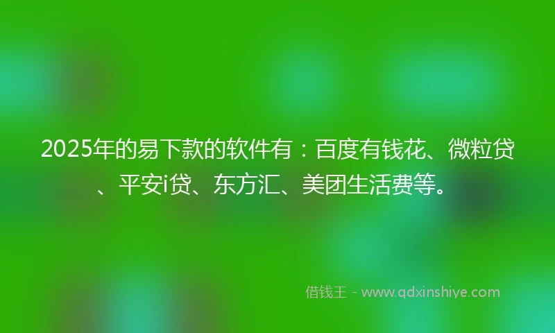 2025年的易下款的软件有：百度有钱花、微粒贷、平安i贷、东方汇、美团生活费等。