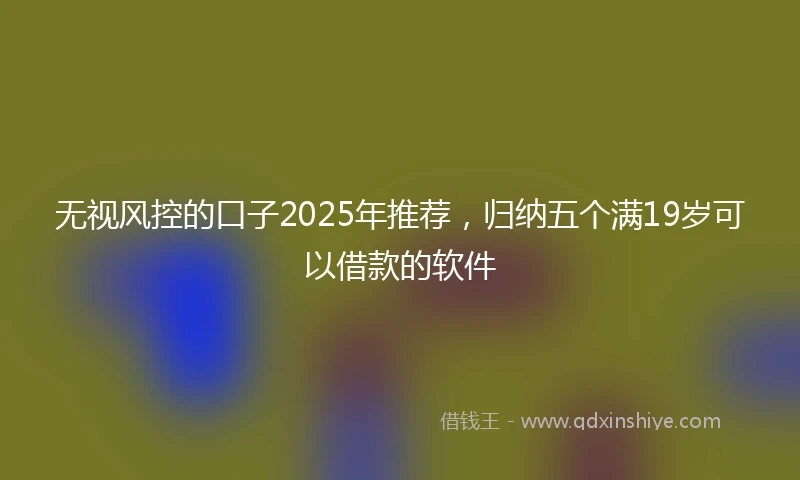 无视风控的口子2025年推荐，归纳五个满19岁可以借款的软件