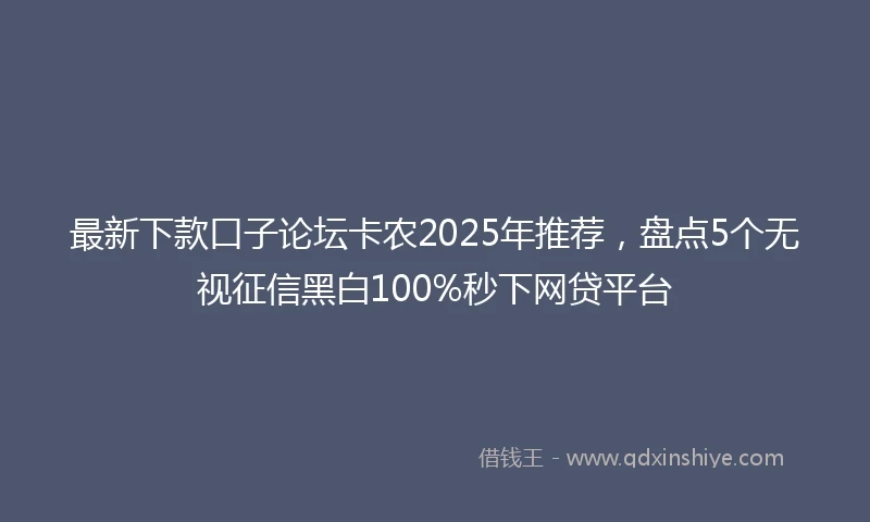 最新下款口子论坛卡农2025年推荐,盘点5个无视征信黑白100%秒下网贷平台