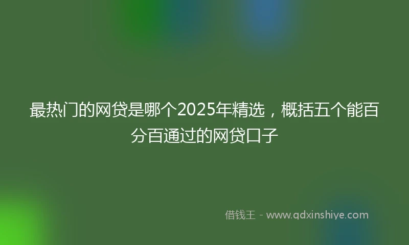 最热门的网贷是哪个2025年精选，概括五个能百分百通过的网贷口子