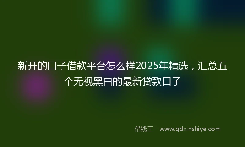 新开的口子借款平台怎么样2025年精选，汇总五个无视黑白的最新贷款口子
