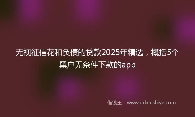无视征信花和负债的贷款2025年精选，概括5个黑户无条件下款的app
