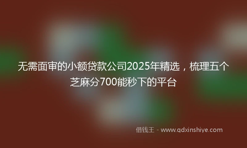 无需面审的小额贷款公司2025年精选，梳理五个芝麻分700能秒下的平台