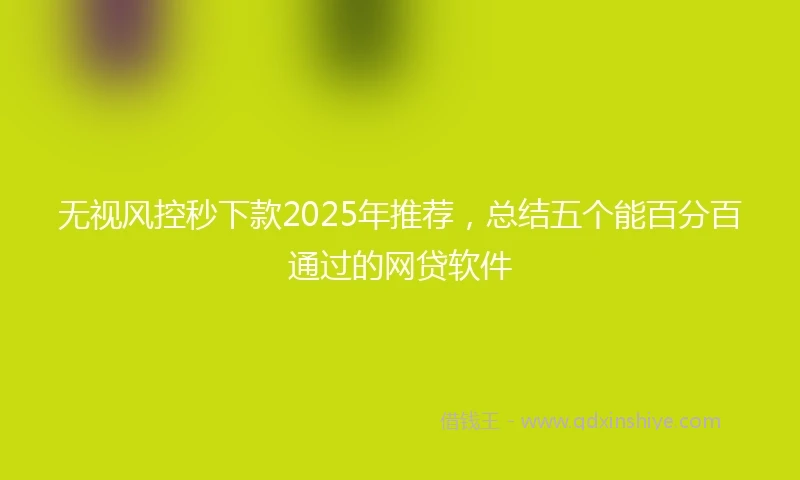 无视风控秒下款2025年推荐，总结五个能百分百通过的网贷软件