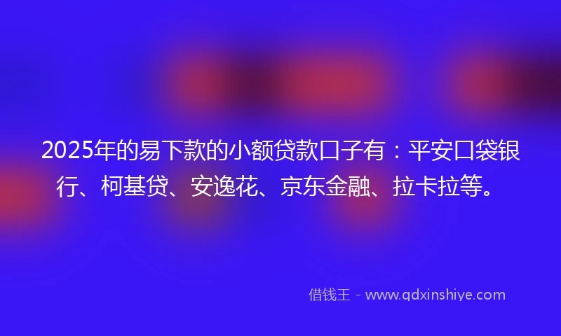 2025年的易下款的小额贷款口子有：平安口袋银行、柯基贷、安逸花、京东金融、拉卡拉等。