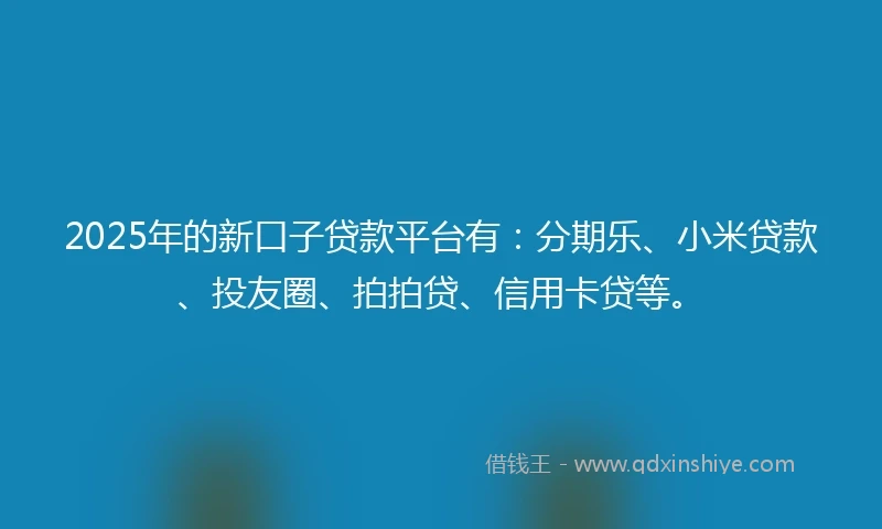 2025年的新口子贷款平台有：分期乐、小米贷款、投友圈、拍拍贷、信用卡贷等。