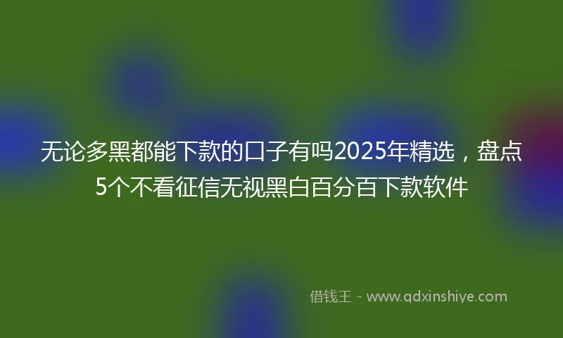 无论多黑都能下款的口子有吗2025年精选，盘点5个不看征信无视黑白百分百下款软件