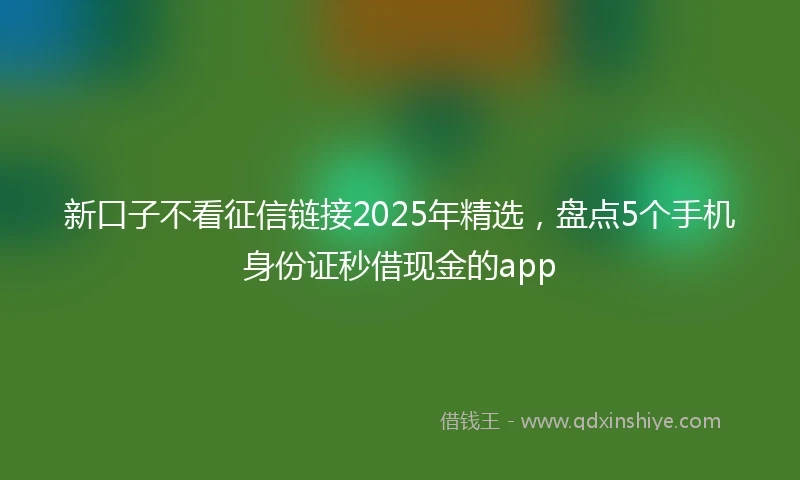 新口子不看征信链接2025年精选，盘点5个手机身份证秒借现金的app