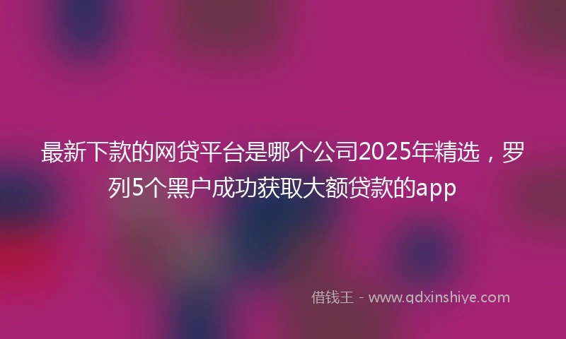 最新下款的网贷平台是哪个公司2025年精选,罗列5个黑户成功获取大额贷款的app