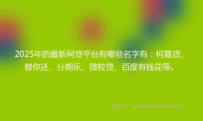 2025年的最新网贷平台有哪些名字有：柯基贷、替你还、分期乐、微粒贷、百度有钱花等。
