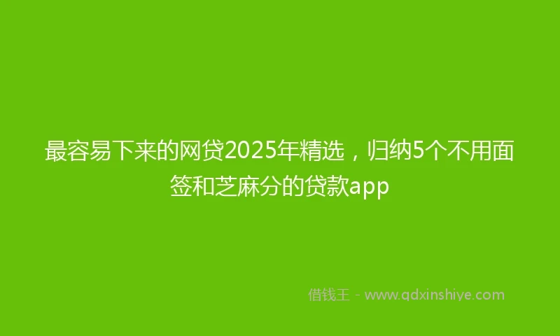 最容易下来的网贷2025年精选，归纳5个不用面签和芝麻分的贷款app
