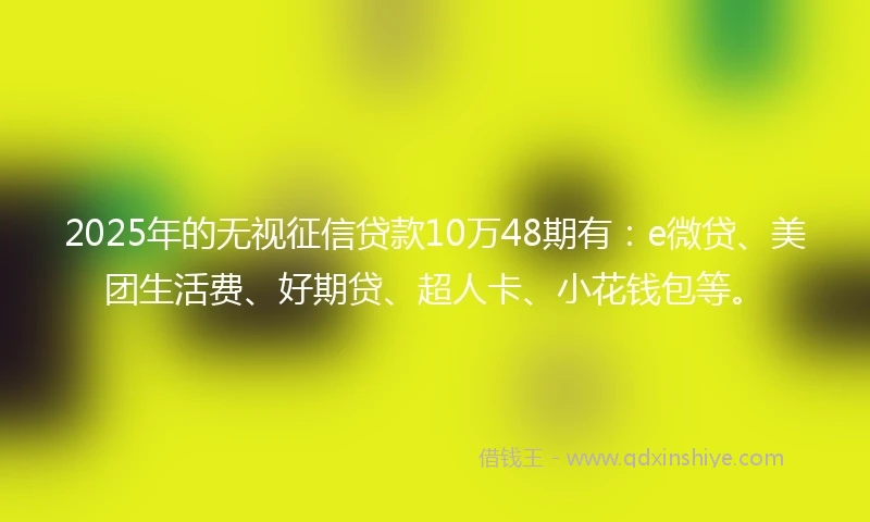 2025年的无视征信贷款10万48期有：e微贷、美团生活费、好期贷、超人卡、小花钱包等。