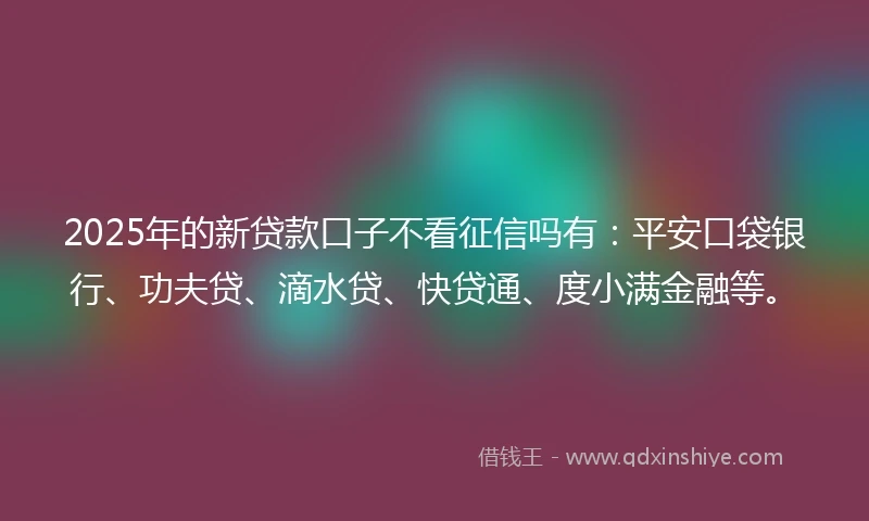 2025年的新贷款口子不看征信吗有：平安口袋银行、功夫贷、滴水贷、快贷通、度小满金融等。