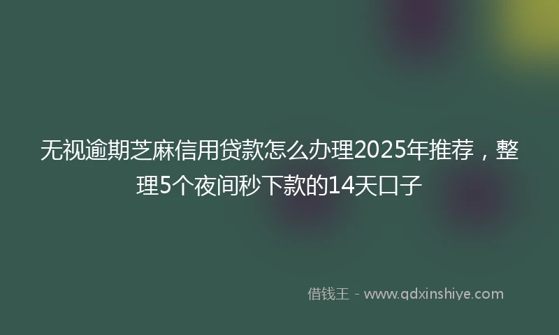 无视逾期芝麻信用贷款怎么办理2025年推荐，整理5个夜间秒下款的14天口子