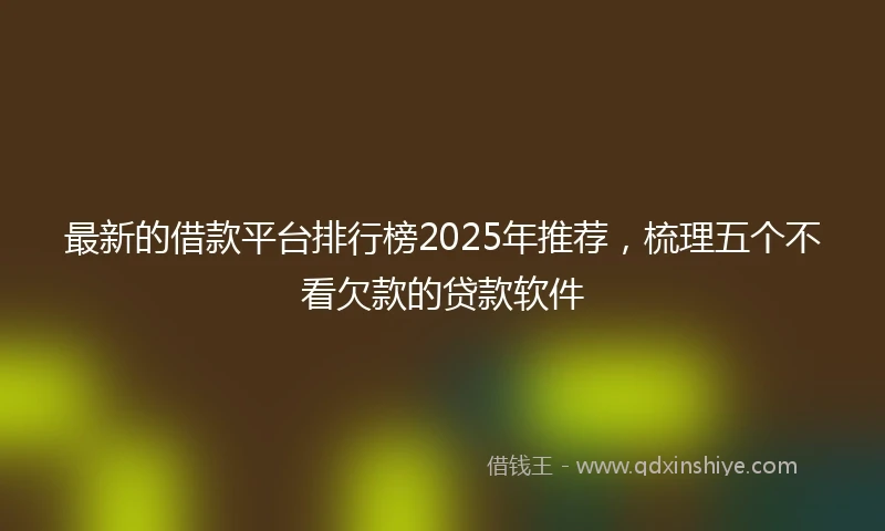 最新的借款平台排行榜2025年推荐，梳理五个不看欠款的贷款软件