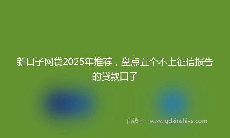新口子网贷2025年推荐，盘点五个不上征信报告的贷款口子