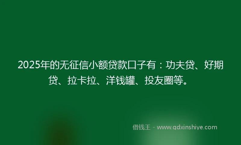 2025年的无征信小额贷款口子有:功夫贷、好期贷、拉卡拉、洋钱罐、投友圈等。