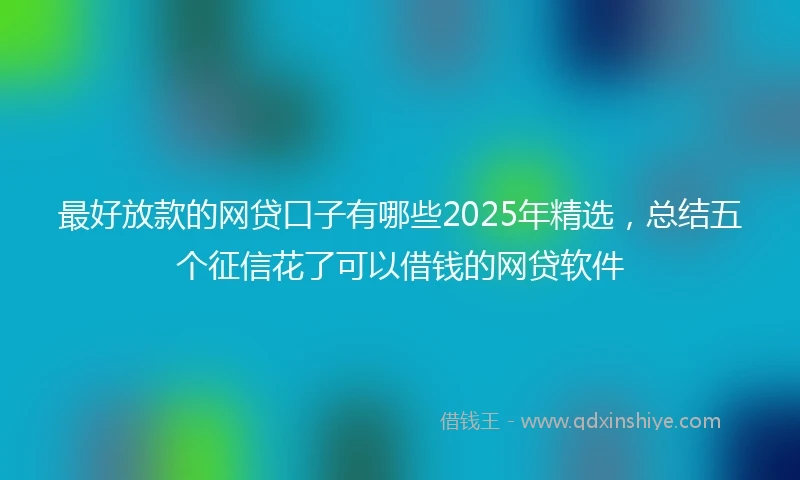 最好放款的网贷口子有哪些2025年精选,总结五个征信花了可以借钱的网贷软件