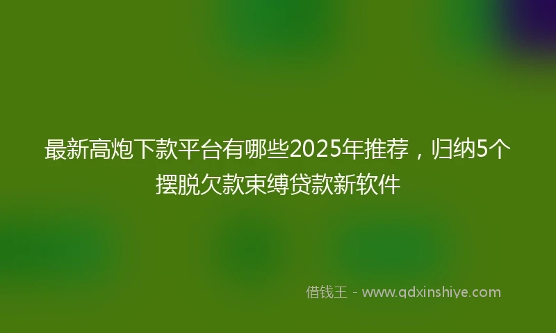 最新高炮下款平台有哪些2025年推荐,归纳5个摆脱欠款束缚贷款新软件