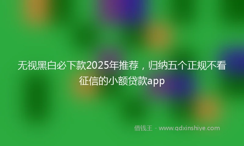 无视黑白必下款2025年推荐，归纳五个正规不看征信的小额贷款app