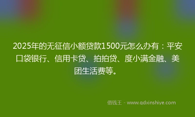 2025年的无征信小额贷款1500元怎么办有：平安口袋银行、信用卡贷、拍拍贷、度小满金融、美团生活费等。