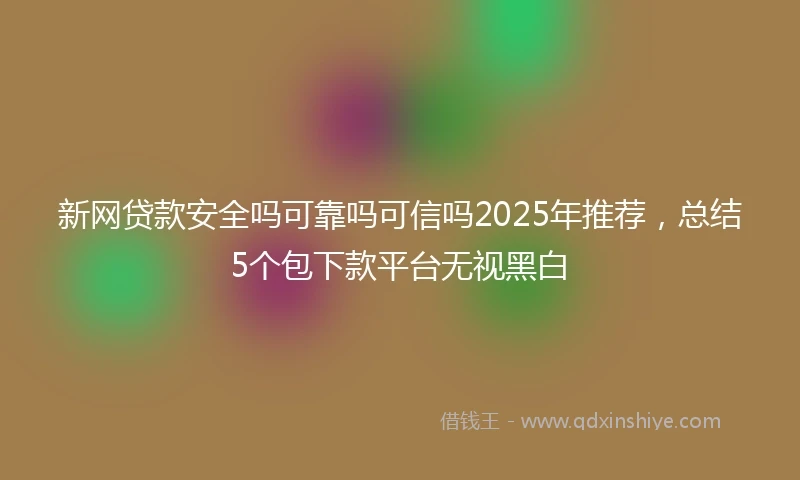 新网贷款安全吗可靠吗可信吗2025年推荐，总结5个包下款平台无视黑白