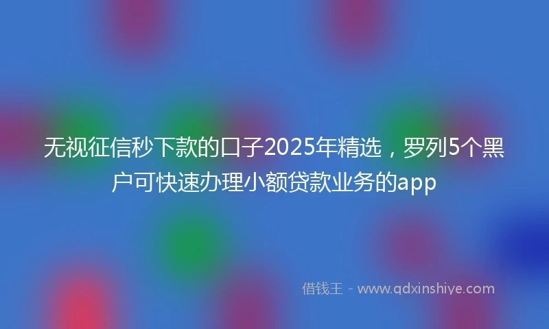 无视征信秒下款的口子2025年精选，罗列5个黑户可快速办理小额贷款业务的app