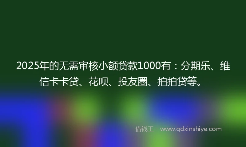 2025年的无需审核小额贷款1000有：分期乐、维信卡卡贷、花呗、投友圈、拍拍贷等。