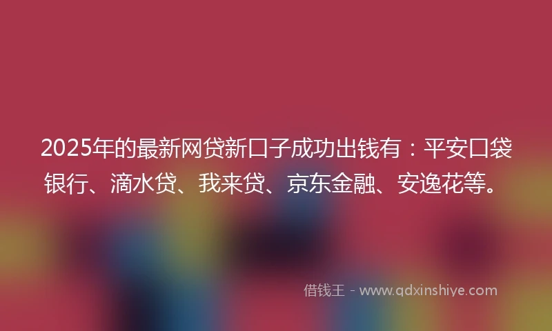 2025年的最新网贷新口子成功出钱有：平安口袋银行、滴水贷、我来贷、京东金融、安逸花等。