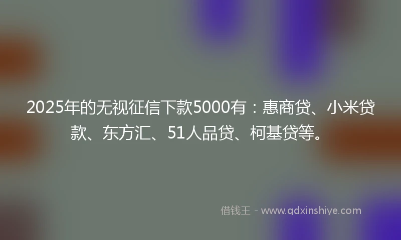 2025年的无视征信下款5000有：惠商贷、小米贷款、东方汇、51人品贷、柯基贷等。