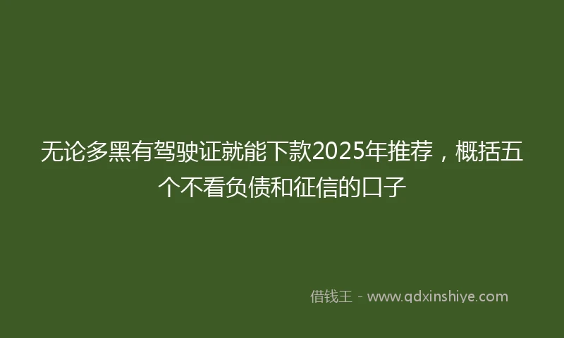 无论多黑有驾驶证就能下款2025年推荐,概括五个不看负债和征信的口子