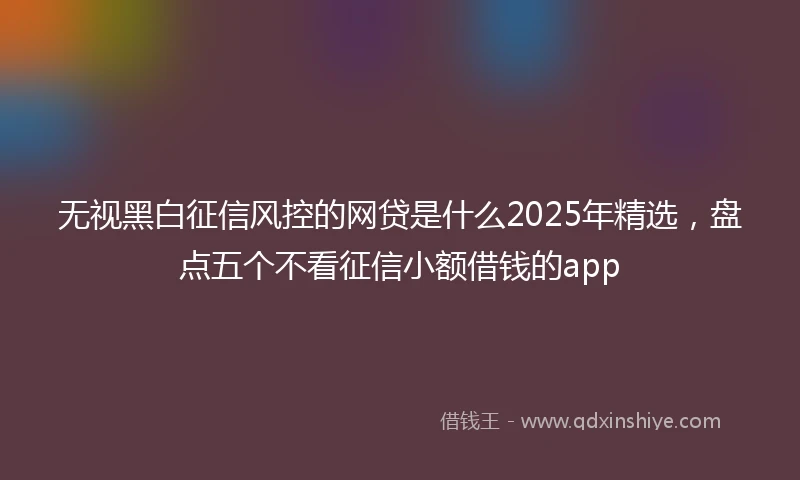 无视黑白征信风控的网贷是什么2025年精选，盘点五个不看征信小额借钱的app