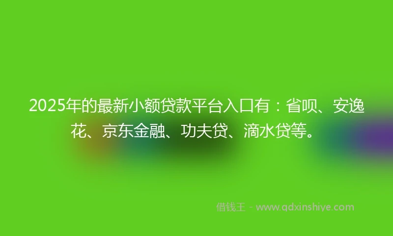 2025年的最新小额贷款平台入口有：省呗、安逸花、京东金融、功夫贷、滴水贷等。