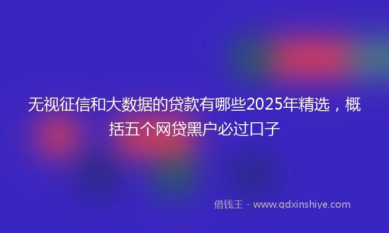 无视征信和大数据的贷款有哪些2025年精选，概括五个网贷黑户必过口子