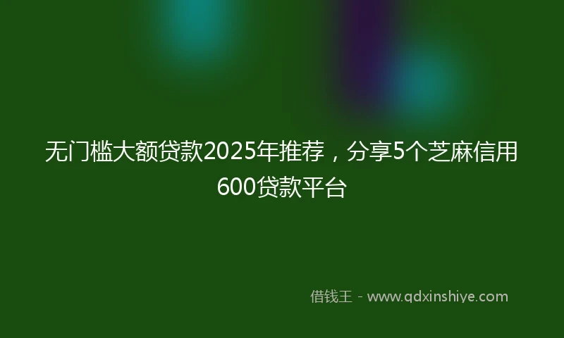 无门槛大额贷款2025年推荐，分享5个芝麻信用600贷款平台