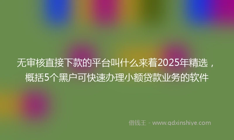 无审核直接下款的平台叫什么来着2025年精选，概括5个黑户可快速办理小额贷款业务的软件