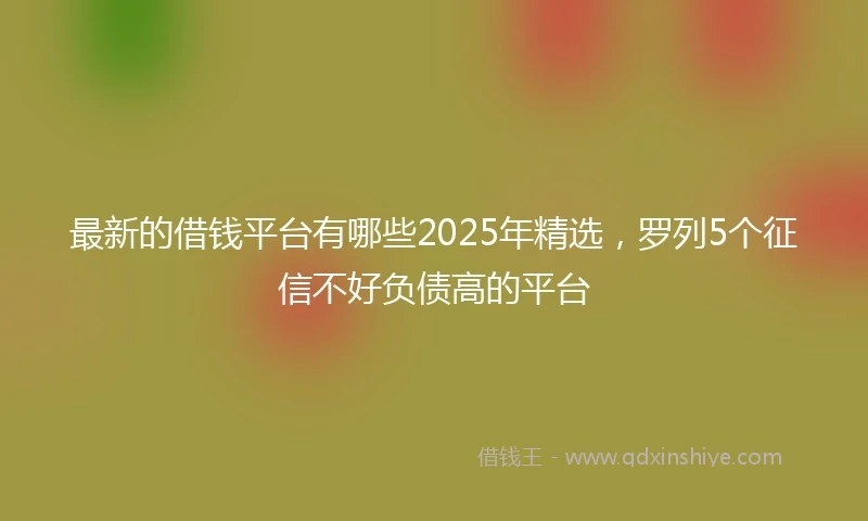 最新的借钱平台有哪些2025年精选，罗列5个征信不好负债高的平台