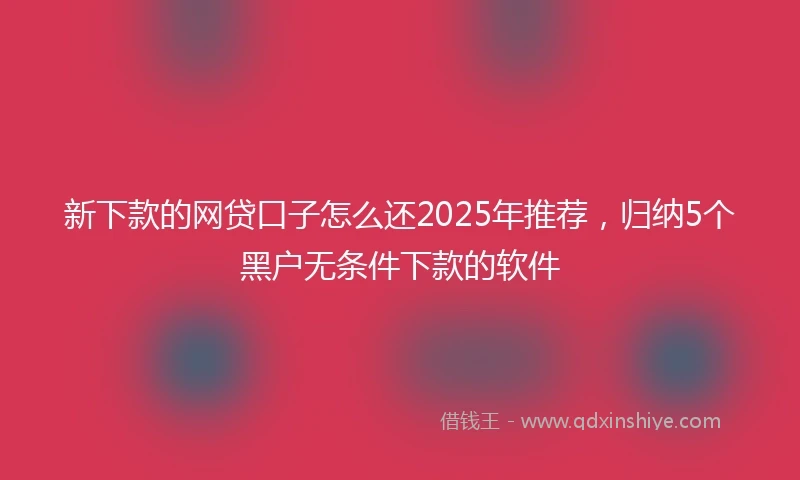新下款的网贷口子怎么还2025年推荐，归纳5个黑户无条件下款的软件
