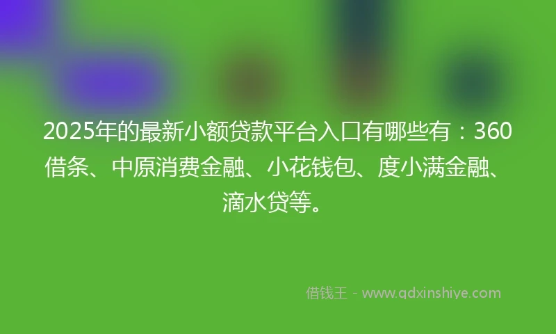 2025年的最新小额贷款平台入口有哪些有:360借条、中原消费金融、小花钱包、度小满金融、滴水贷等。