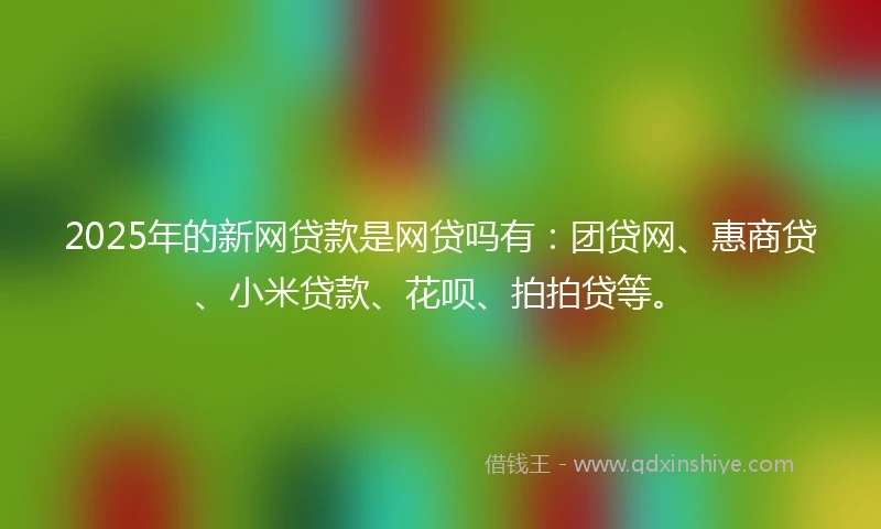 2025年的新网贷款是网贷吗有：团贷网、惠商贷、小米贷款、花呗、拍拍贷等。