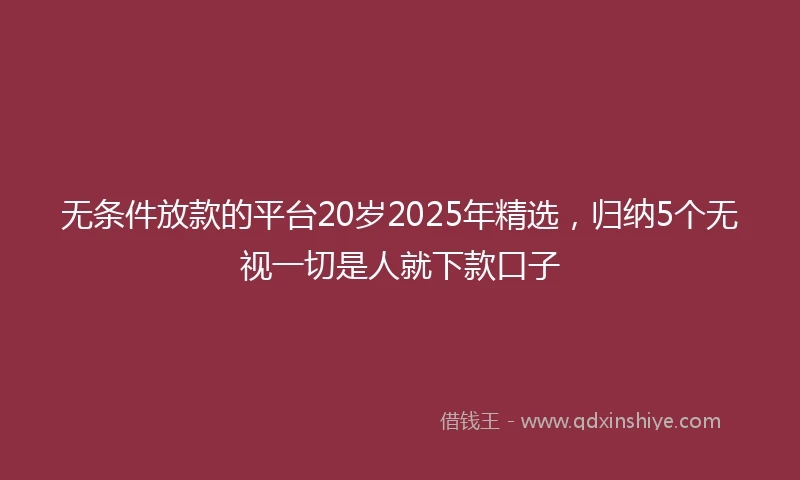 无条件放款的平台20岁2025年精选，归纳5个无视一切是人就下款口子