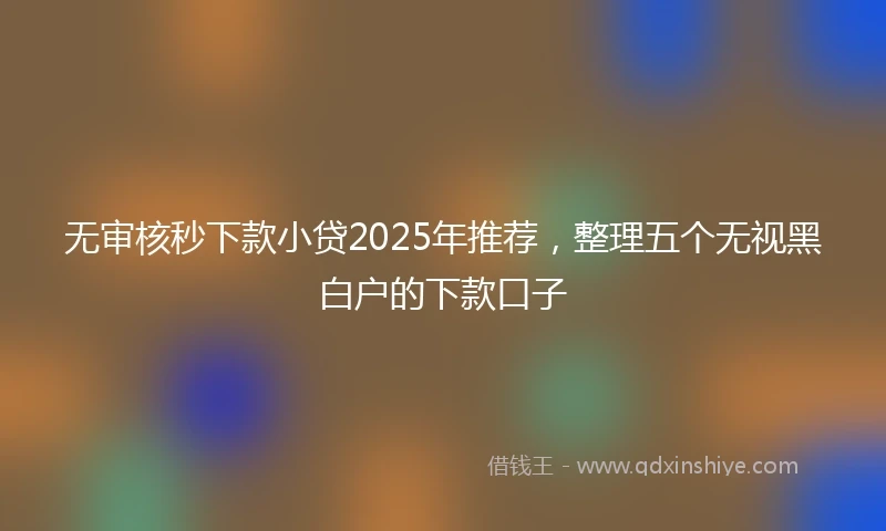 无审核秒下款小贷2025年推荐，整理五个无视黑白户的下款口子