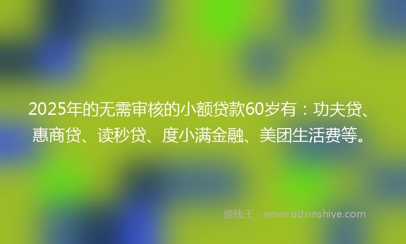 2025年的无需审核的小额贷款60岁有：功夫贷、惠商贷、读秒贷、度小满金融、美团生活费等。
