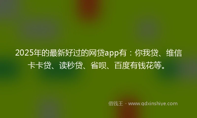 2025年的最新好过的网贷app有：你我贷、维信卡卡贷、读秒贷、省呗、百度有钱花等。