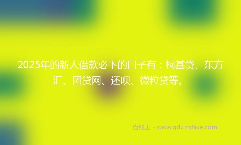 2025年的新人借款必下的口子有：柯基贷、东方汇、团贷网、还呗、微粒贷等。