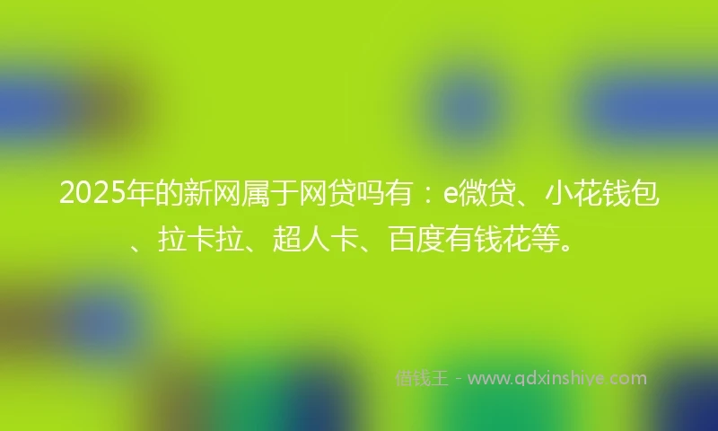 2025年的新网属于网贷吗有：e微贷、小花钱包、拉卡拉、超人卡、百度有钱花等。