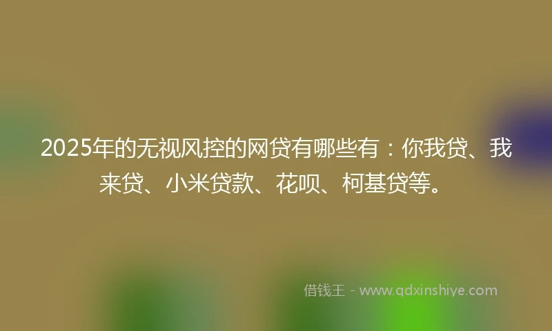 2025年的无视风控的网贷有哪些有：你我贷、我来贷、小米贷款、花呗、柯基贷等。