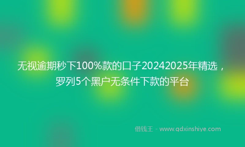 无视逾期秒下100%款的口子20242025年精选，罗列5个黑户无条件下款的平台